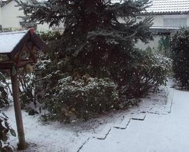 “Frühling” 2013