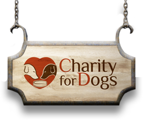 Charity_for_Dogs