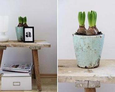 Frühling in unserer Wohnung