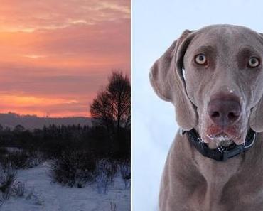 Morgenspaziergang mit Paula ♥