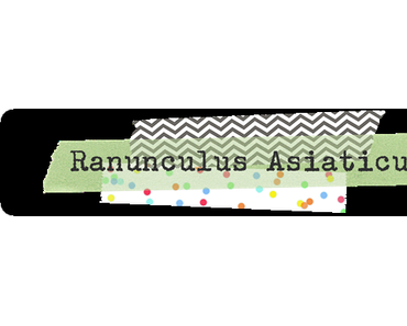 M wie Montag oder …