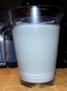 Rohkost-Milch selbst gemacht