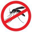 Insektenschutz – effizient gegen Plagegeister vorbeugen