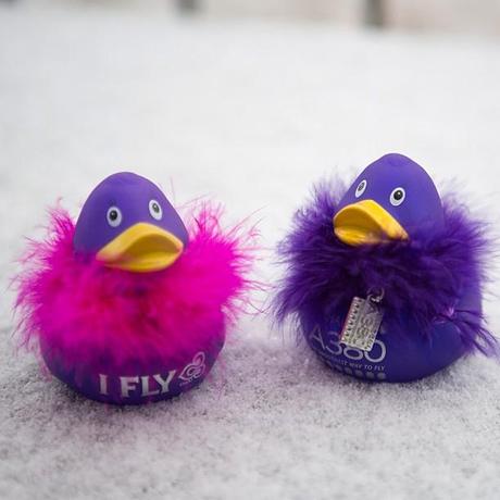 Typical frequent flyer ducks - this time - Thai Airways ducks in the snow - new A380 edition