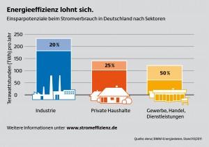Einsparpotenziale beim Stromverbrauch in Deutschland