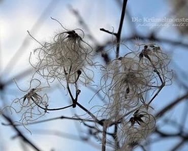 Osterhessen am Rhein #3