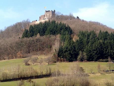 Die Burg Hohengeroldseck 