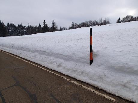 Auf dem Kandel hat es noch reichlich Schnee  - Foto: Erich Kimmich