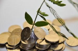 Green Investment Opportunities