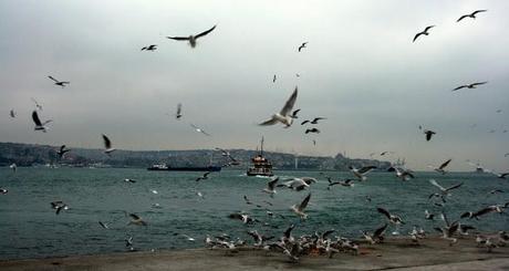Ich höre Istanbul /Orhan Veli
