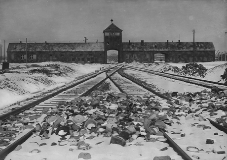 Shoah Auschwitz Birkenau