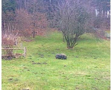 analoges Tagebuch // Rückblick