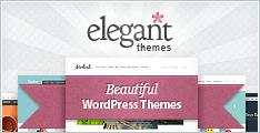 Super WordPress Themes