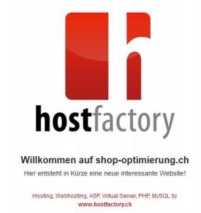 shop-optimierung hostfactory Web Seite