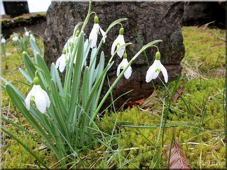 Es wird endlich Frühling!