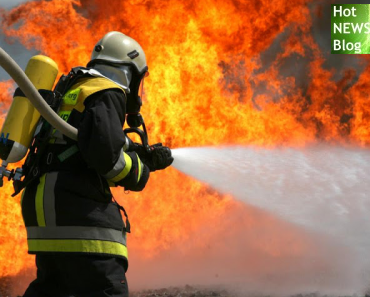 Wem Europäerinnen und Europäer am meisten vertrauen