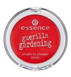 [Preview] Essence LE „guerilla gardening”