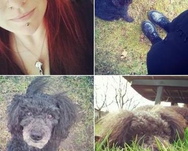 Van der Hellscher Wochenrückblick