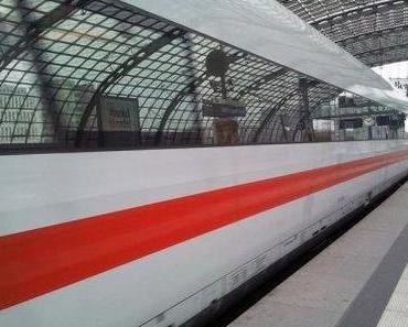 So wird der Urlaub nicht zum Albtraum!