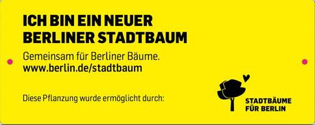 Ich bin ein Berliner Stadtbaum