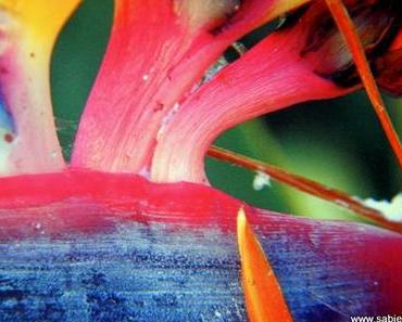 Originelle Fotogeschenke