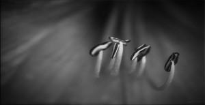 wallpaper-1689754