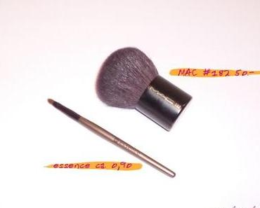 [TAG]: Alle meine Pinsel