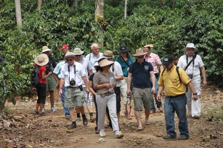 Besuch der Kaffeeplantage von Rosario Quesada