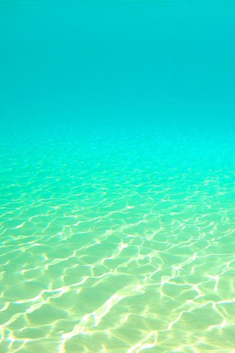 Caribbean underwater picture