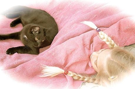 Girl and cat in hammock