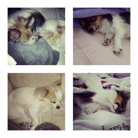 Wochenrückblick: What happened the last few days!