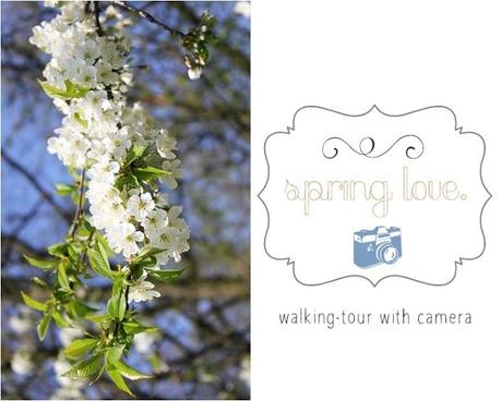 Eine Wanderung in den Mai. { a walking - tour with camera }
