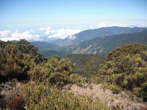 Blick vom Cerro de la Muerte ins Tal San Gerardo
