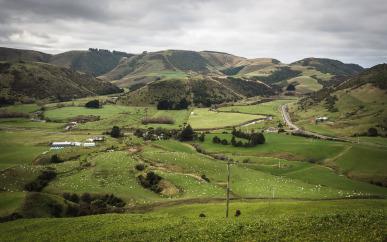 Roadtrip über die Südinsel Neuseelands – Tag 7 –  von Invercargill in die Catlins
