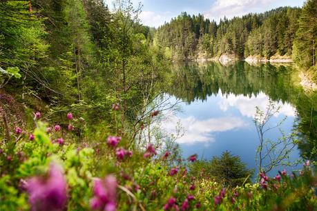 Stausee_Mitterbach_5428_HDR