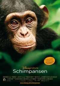 Schimpansen_Hauptplakat