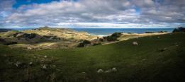 Roadtrip über die Südinsel Neuseelands – Tag 9 – Taieri Mouth nach Moeraki