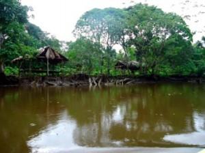 Tief im Orinoco Delta