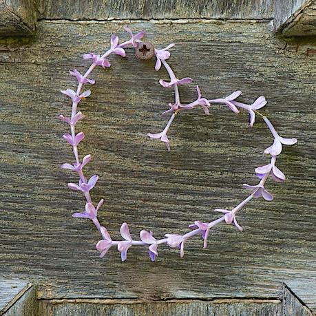 lilac heart wreath