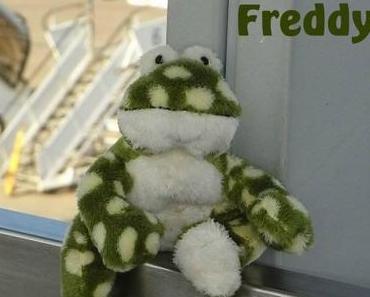 Travelling Fred - oder Freddy unser Reisefrosch