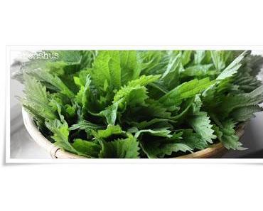 Wiesenküche