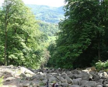 Pfingstausflug zum Felsenmeer