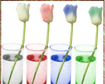 wallpaper-1689754