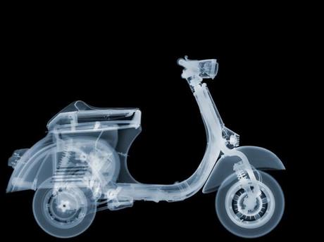 X Ray: Röntgenfotografie von Nick Veasey