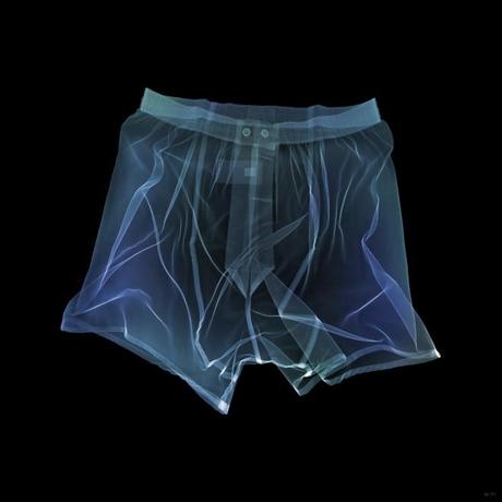 X Ray: Röntgenfotografie von Nick Veasey