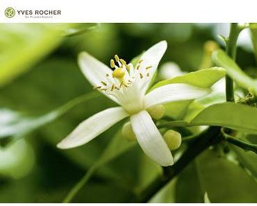 Secrets d´Essences Neroli - Eau de Parfum