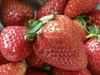Auftakt zur Erdbeersaison: Erdbeeren auf Vanillecrème in der Eiserschale