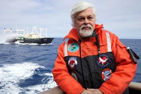 Sea Shepherd - Mission: Meere schützen!