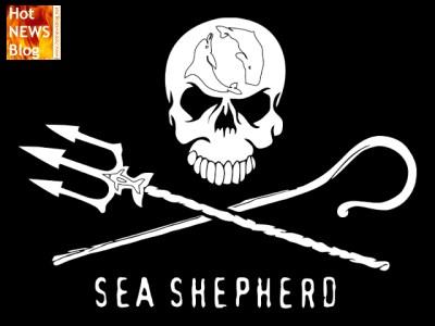 Sea Shepherd - Mission: Meere schützen!