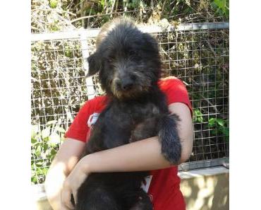 Wir würden euch gerne *Madagaskar* vorstellen